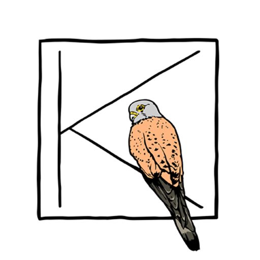 KESTREL ART